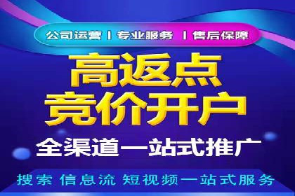 百度推广优化策略：成功案例解析